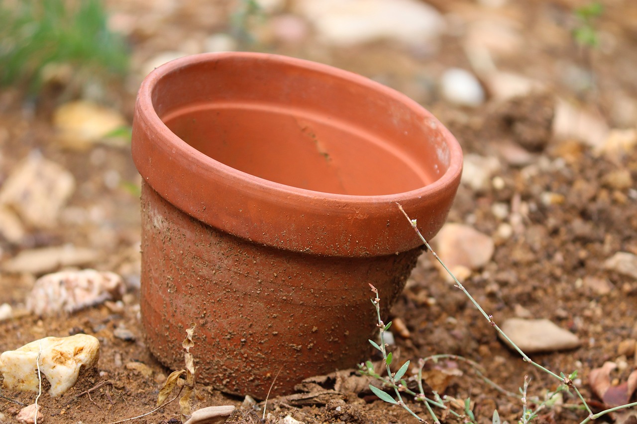 Handmade Ceramic Pottery: A Step-by-Step Guide for Beginners